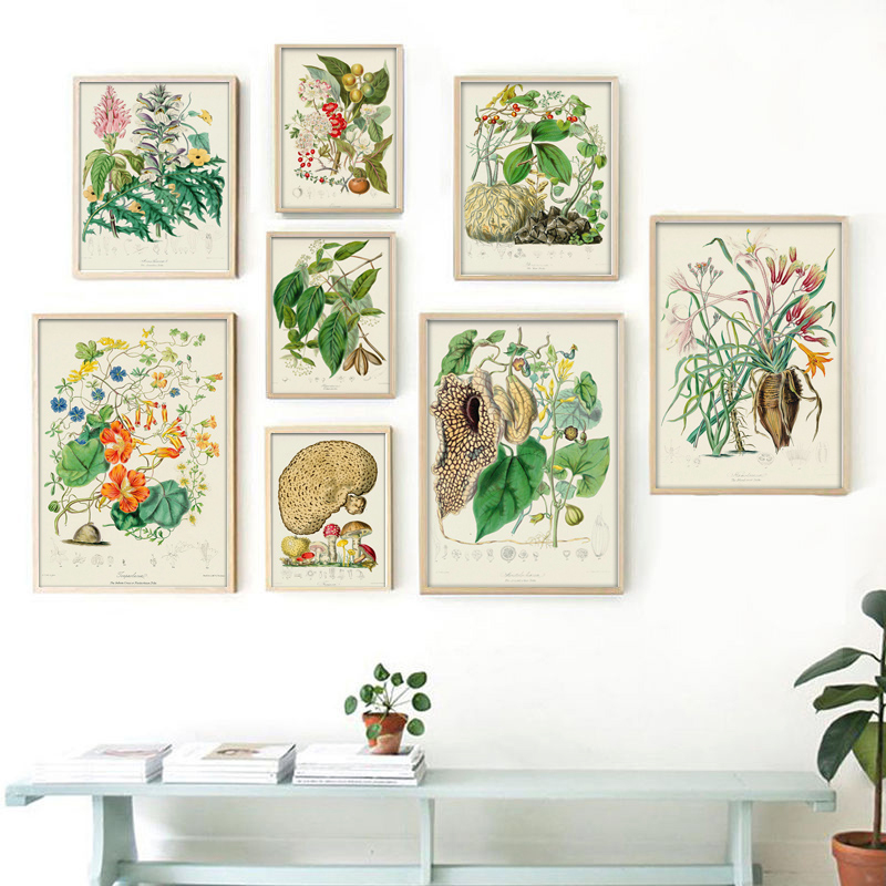 Vintage Collectible Posters - 植物コレクション、ヴィンテージポスター、植物のハーブをモチーフにした壁掛けアート、植物の絵画、キャンバス画、リビングルームの壁飾り